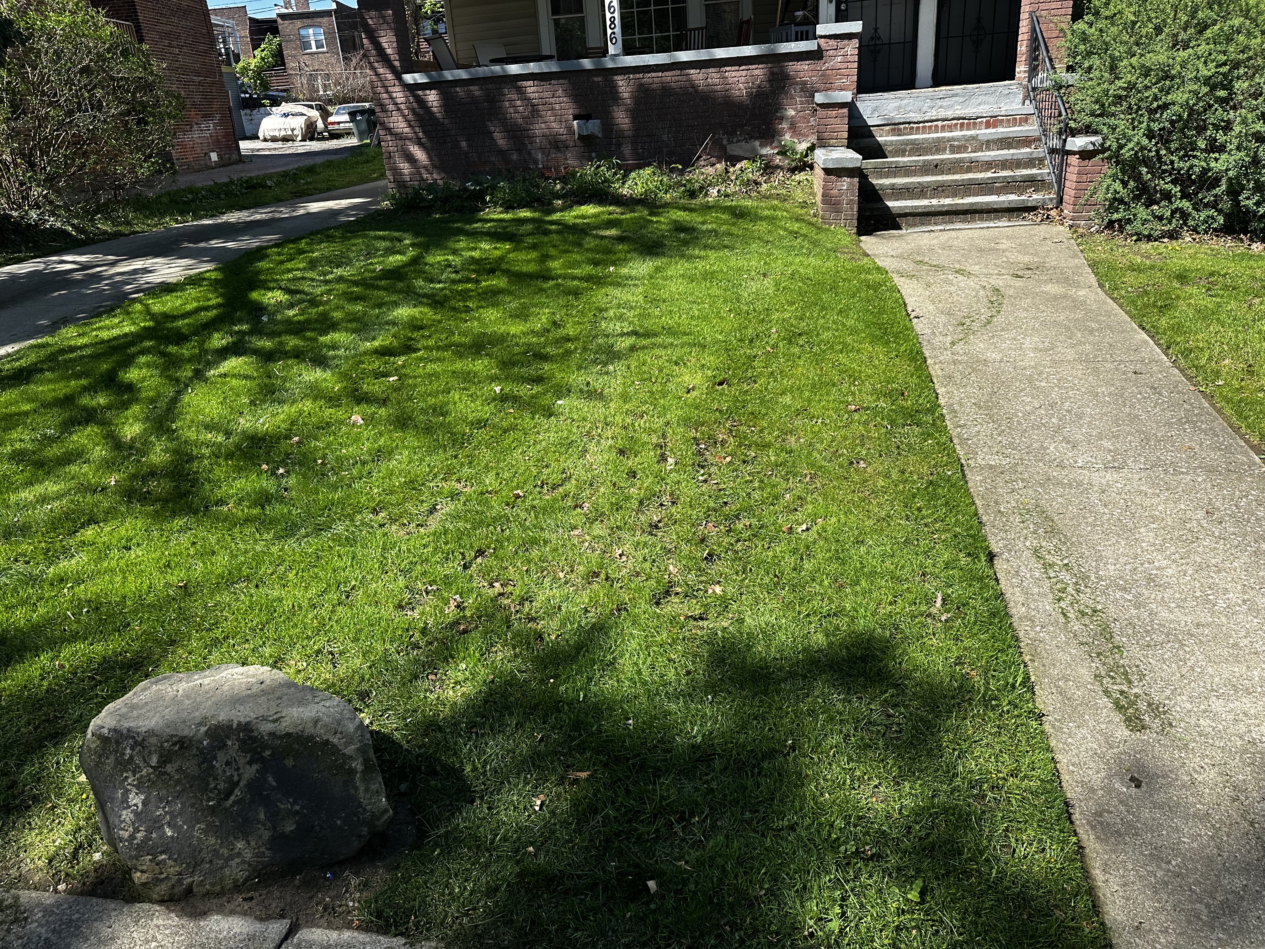 Before Image