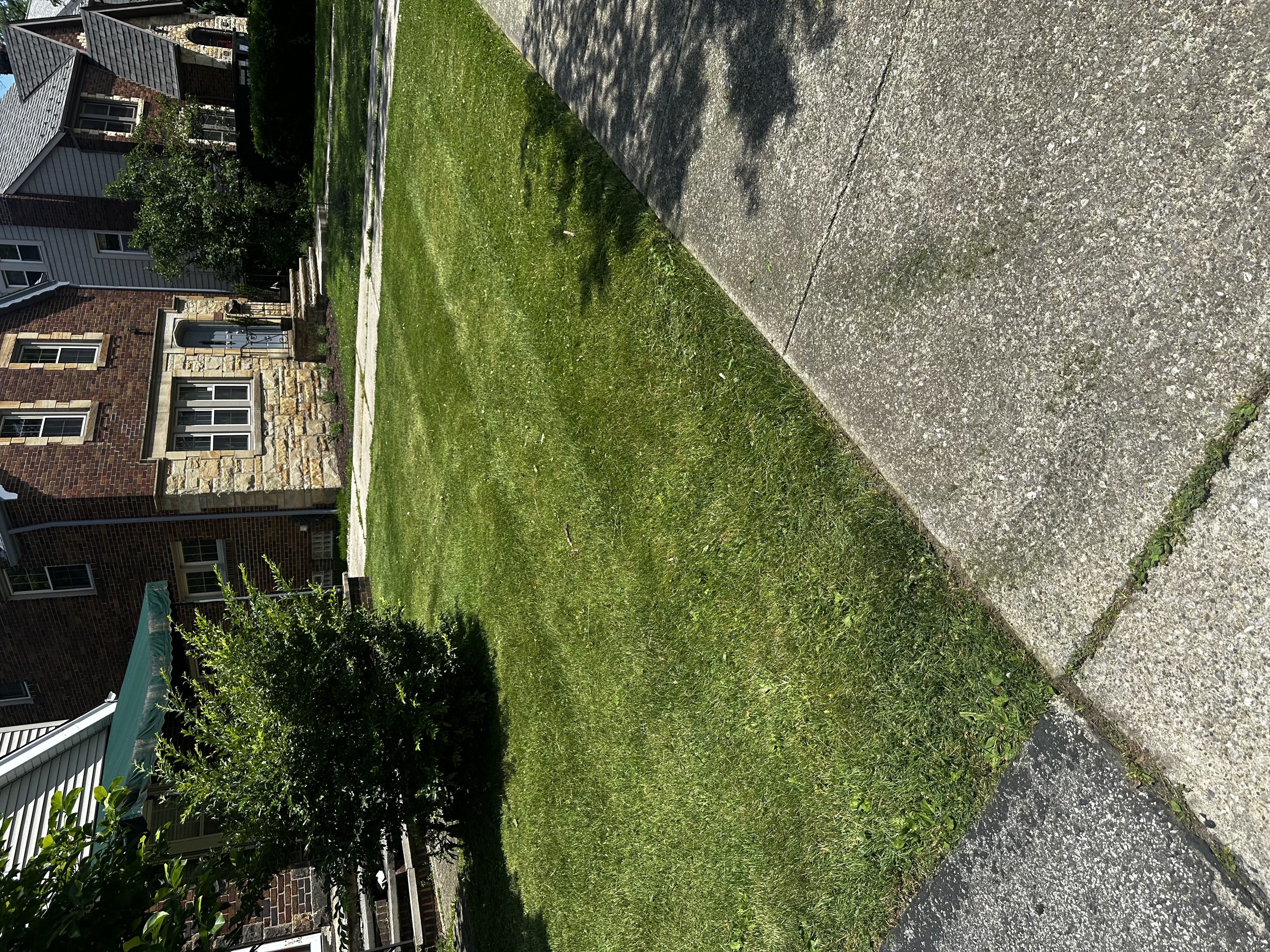 After Image