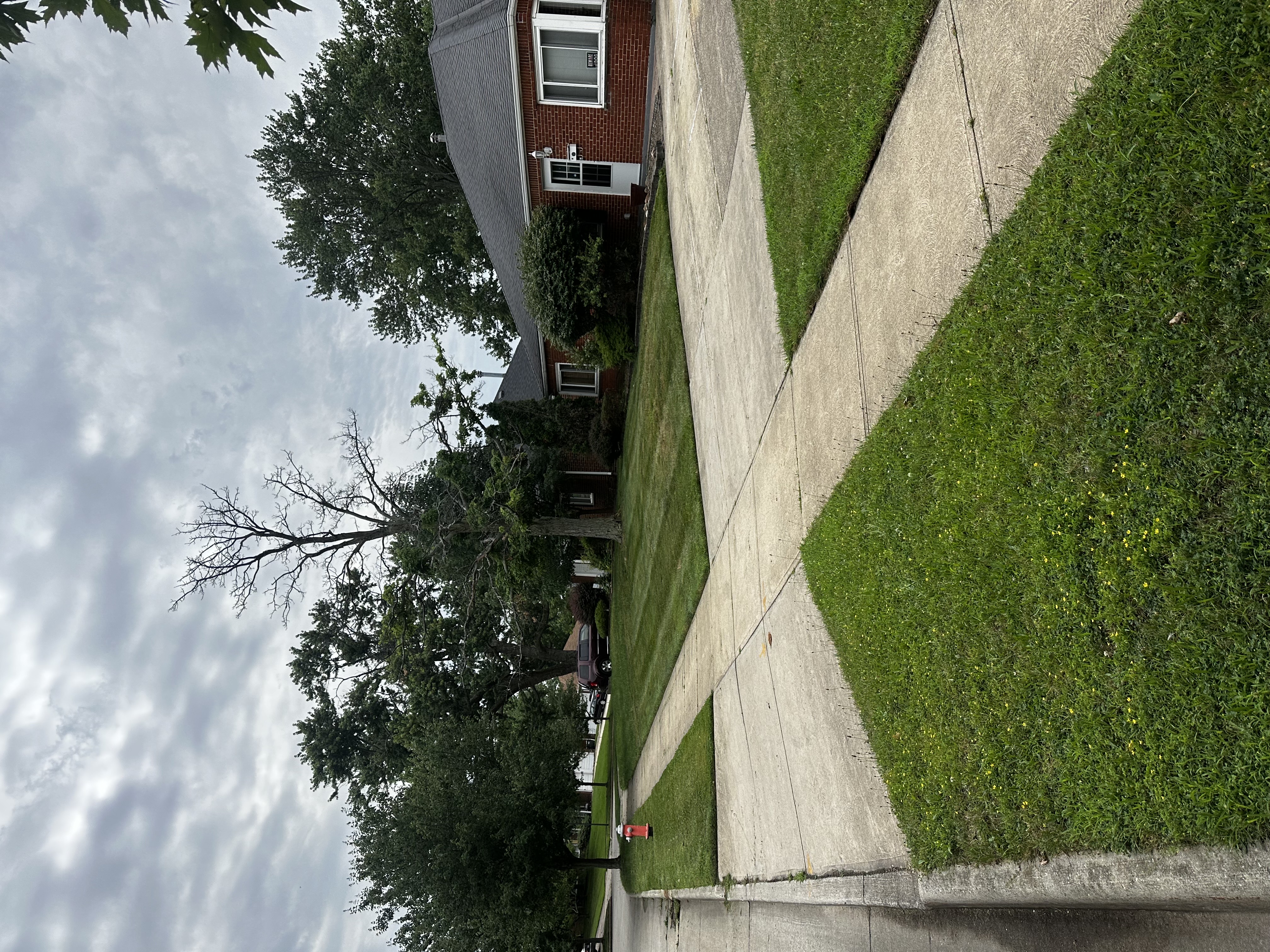 Before Image